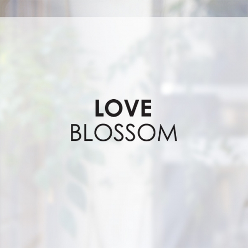 [무점착 창문시트]love blossom