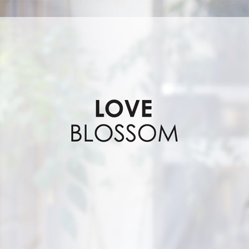 [컬러 안개시트]love blossom