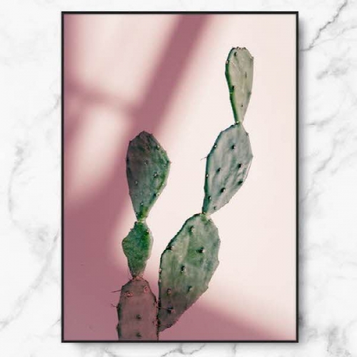 [RYMD] 인테리어 식물 그림 액자 집들이 선물 캑투스 핑크 라이트