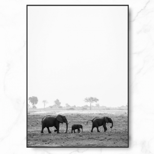 [RYMD] 인테리어 동물 그림 액자 집들이 선물 코끼리