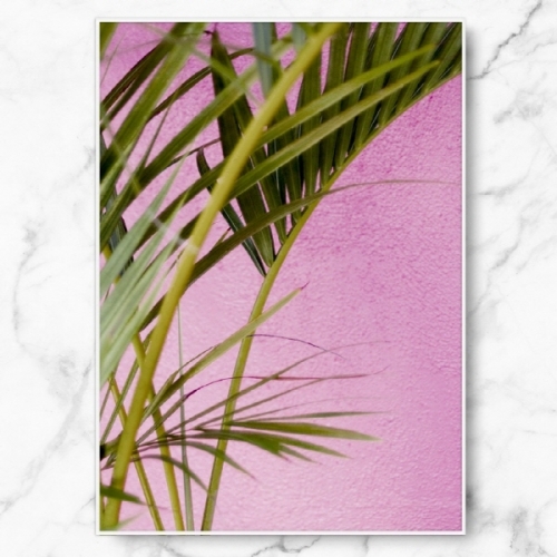 [RYMD] 인테리어 식물 그림 액자 집들이 선물 핑크 월 팜트리