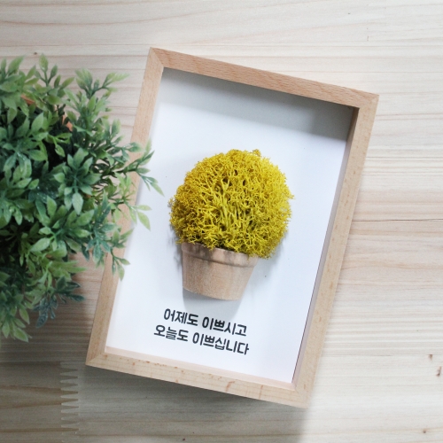레인디어모스 6색 나무액자/예쁜천연이끼/공기정화식물
