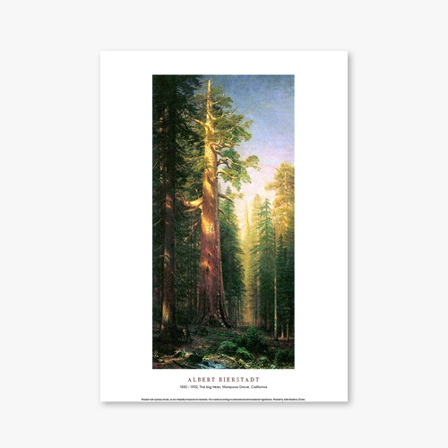 [명화포스터] The big trees, Mariposa Grove, California - 앨버트 비어슈타트 020