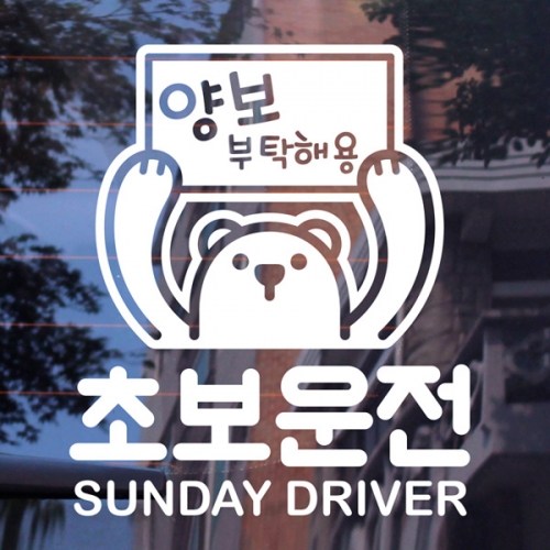 곰돌이 초보운전 sunday driver
