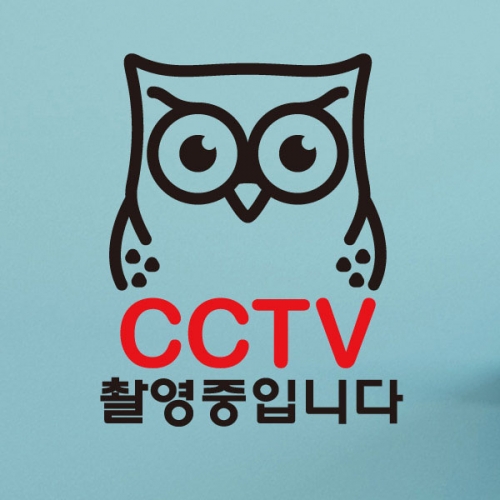 부엉이 CCTV01촬영중