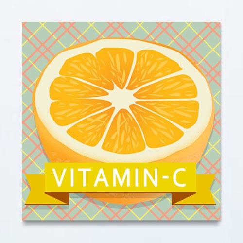 CAS389 상큼 오렌지 비타민C 북유럽 인테리어 캔버스액자